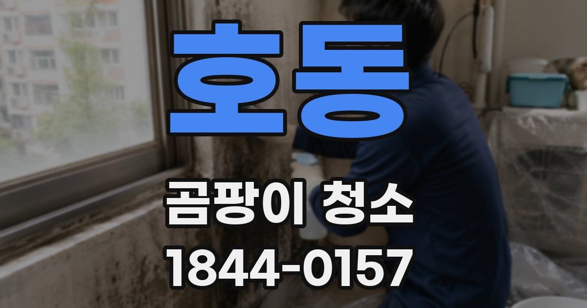 호동 곰팡이 청소