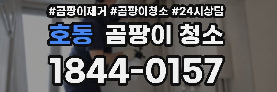 호동 곰팡이 청소