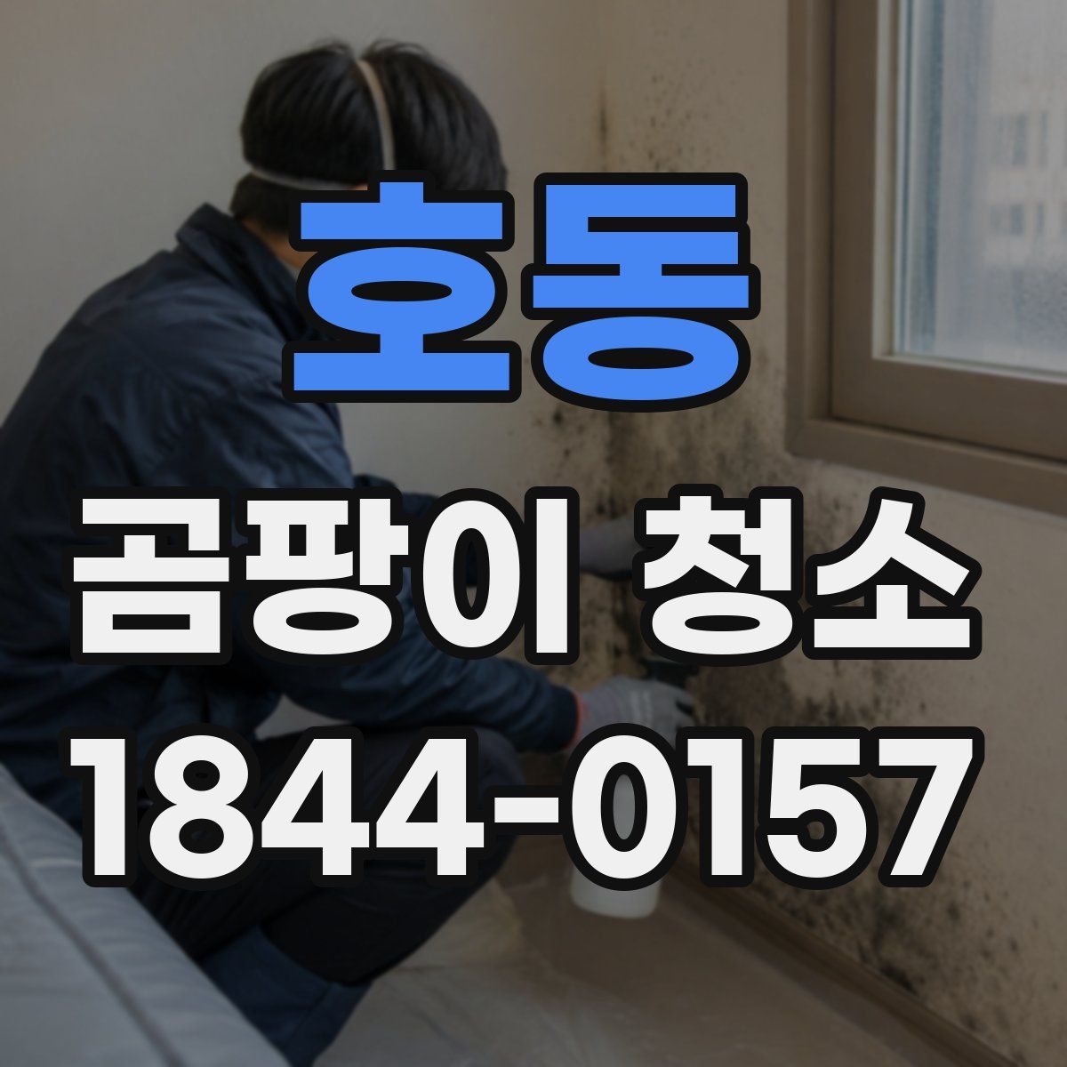호동 곰팡이 청소