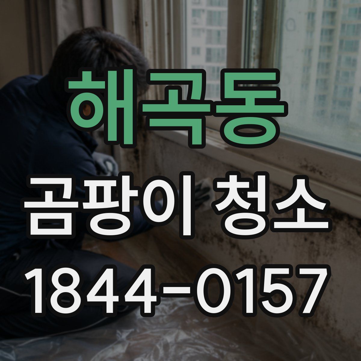 해곡동 곰팡이 청소