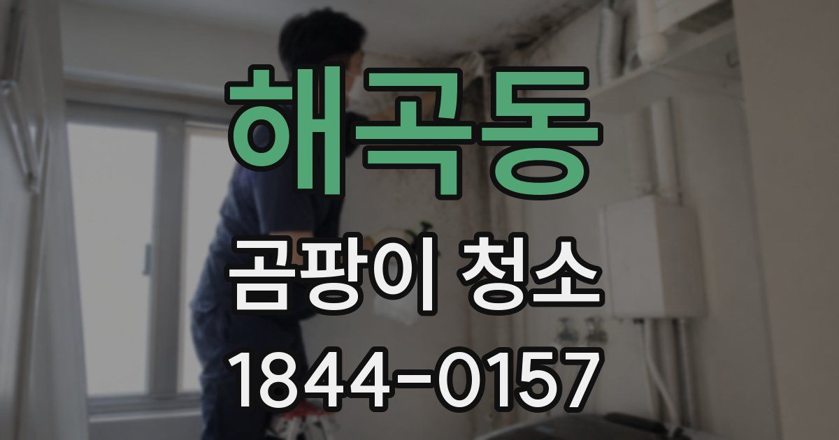 해곡동 곰팡이 청소