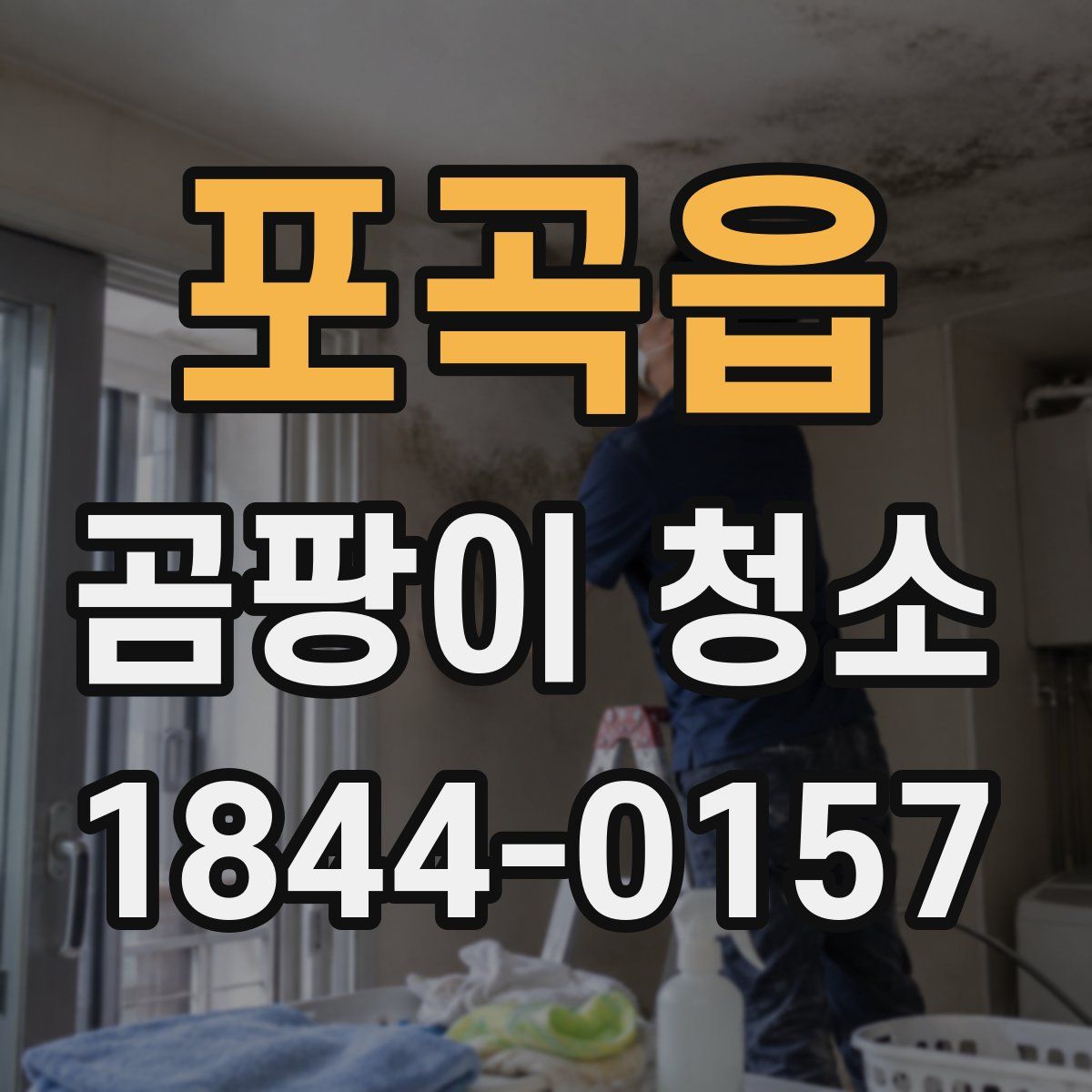 포곡읍 곰팡이 청소