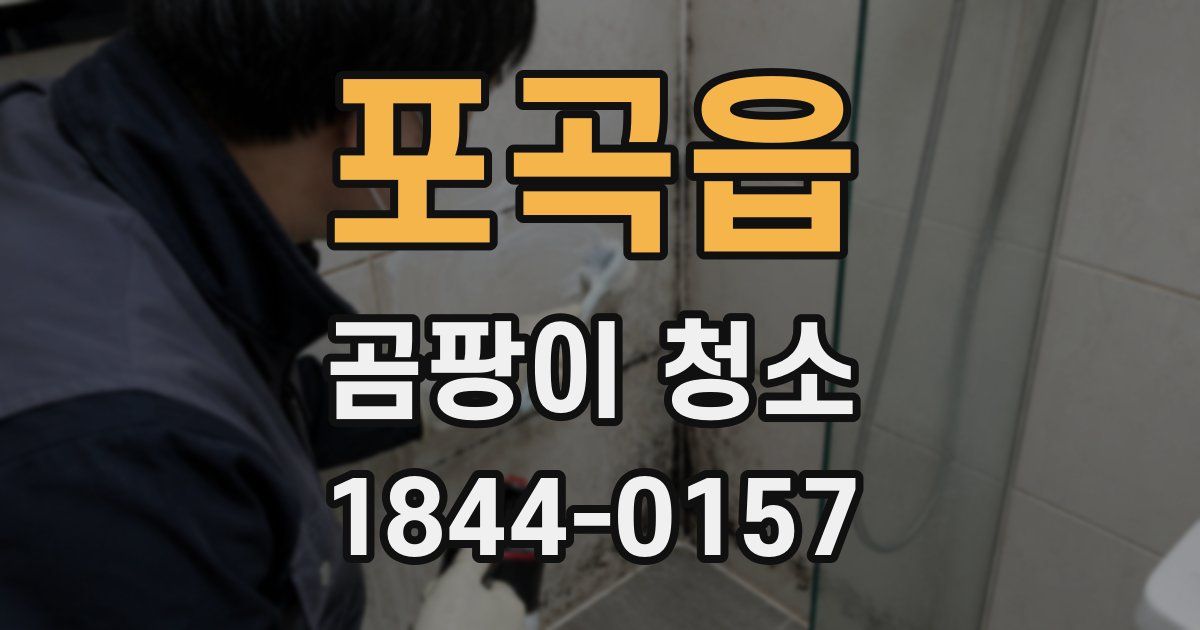 포곡읍 곰팡이 청소