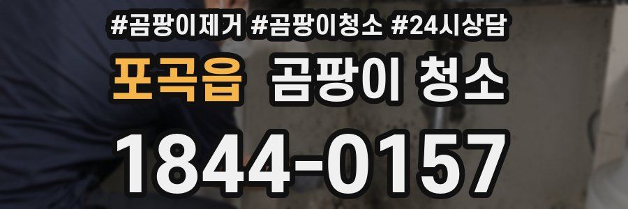 포곡읍 곰팡이 청소