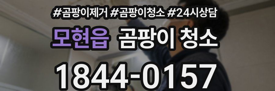 모현읍 곰팡이 청소