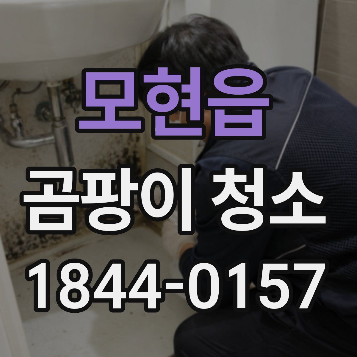 모현읍 곰팡이 청소