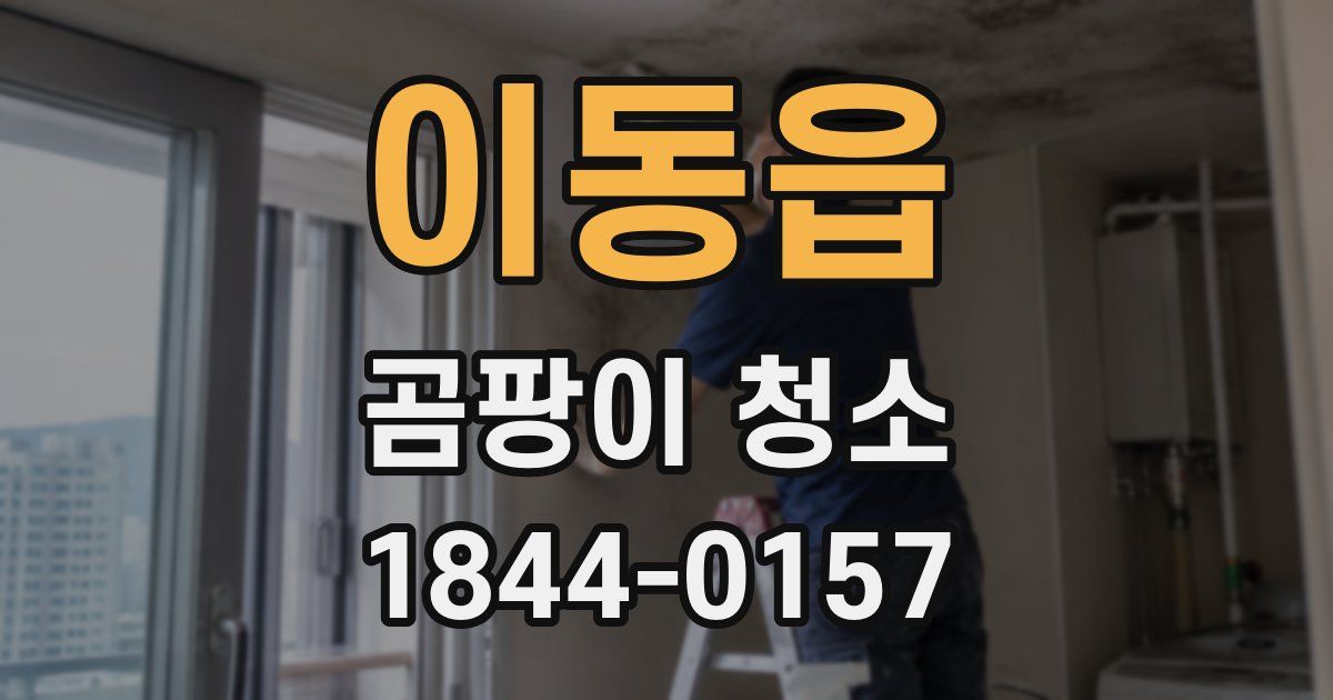 이동읍 곰팡이 청소