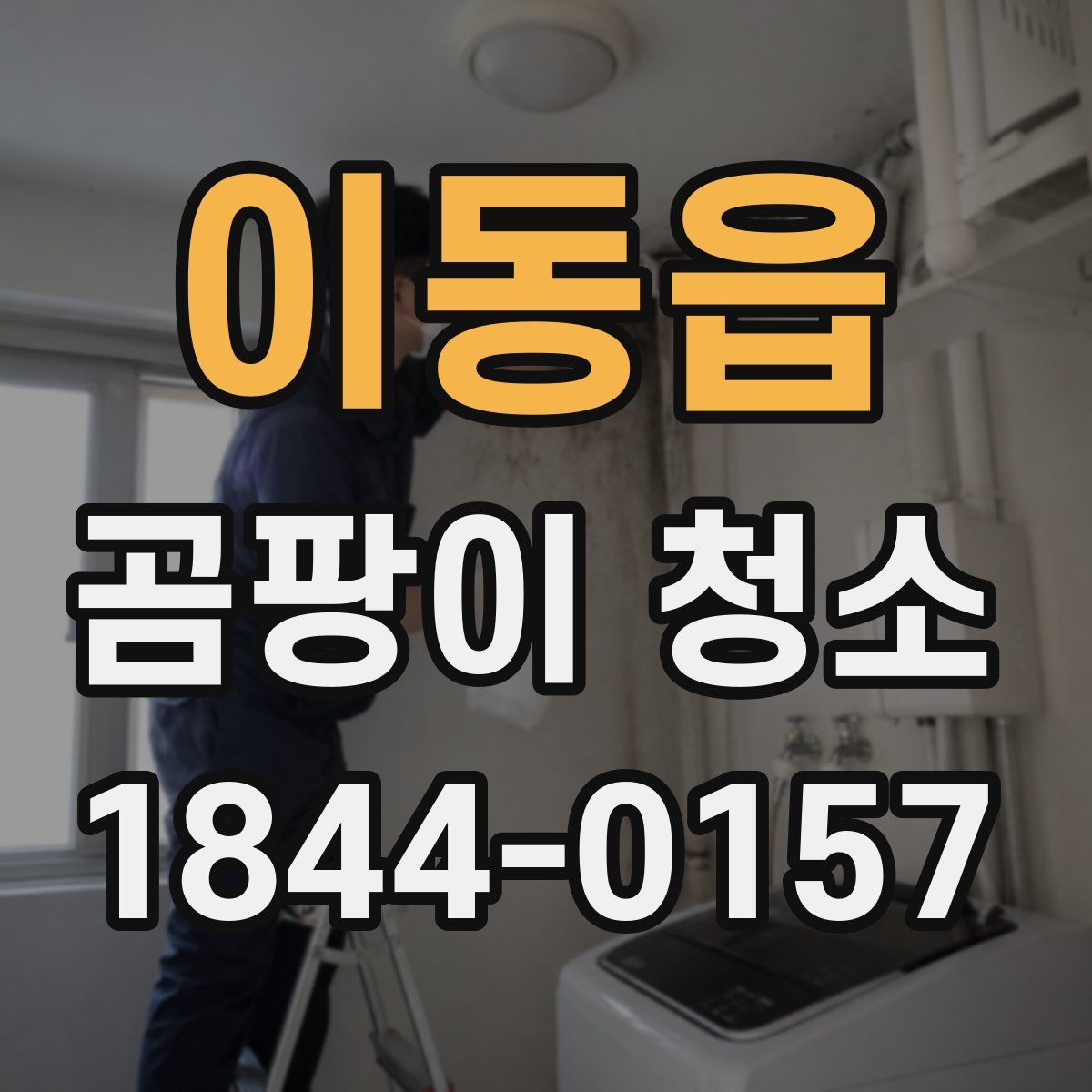 이동읍 곰팡이 청소