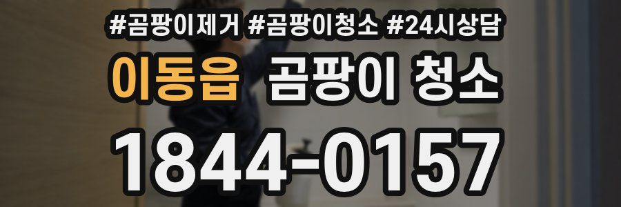 이동읍 곰팡이 청소