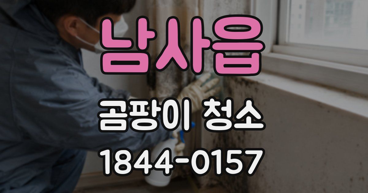 남사읍 곰팡이 청소
