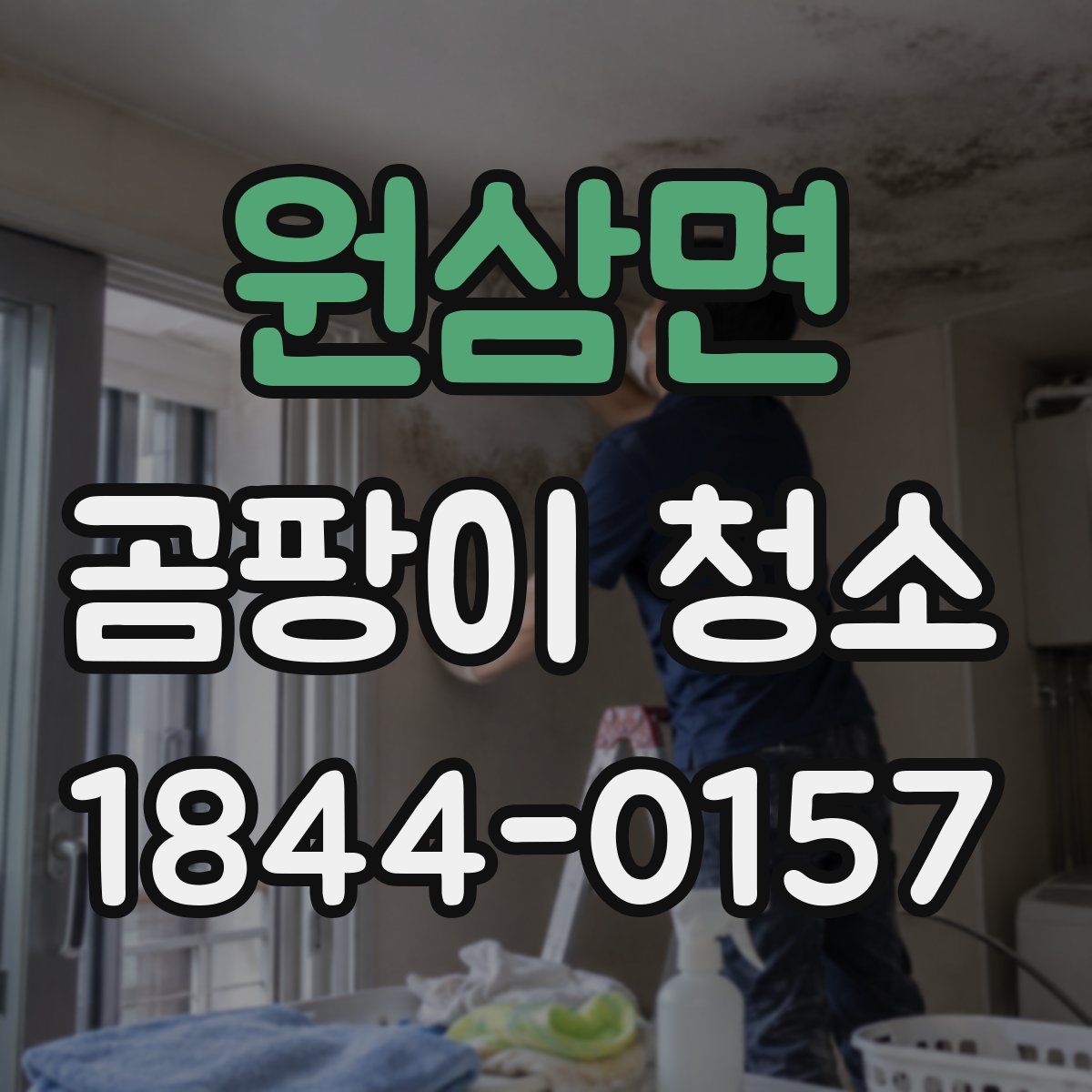 원삼면 곰팡이 청소