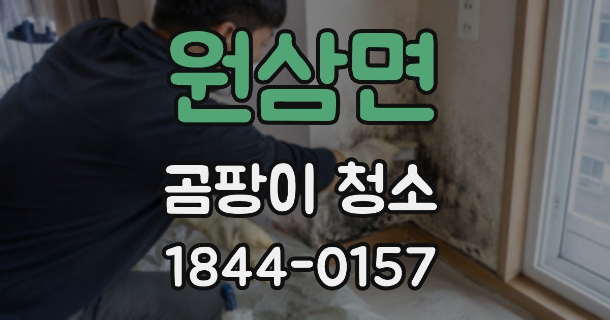 원삼면 곰팡이 청소