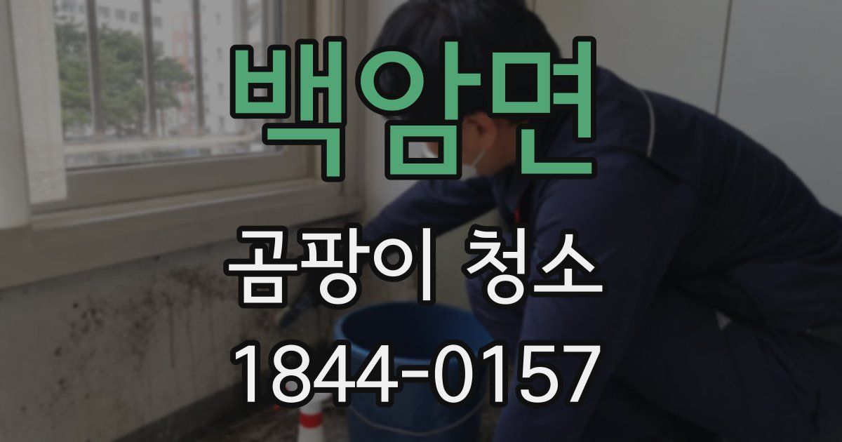 백암면 곰팡이 청소