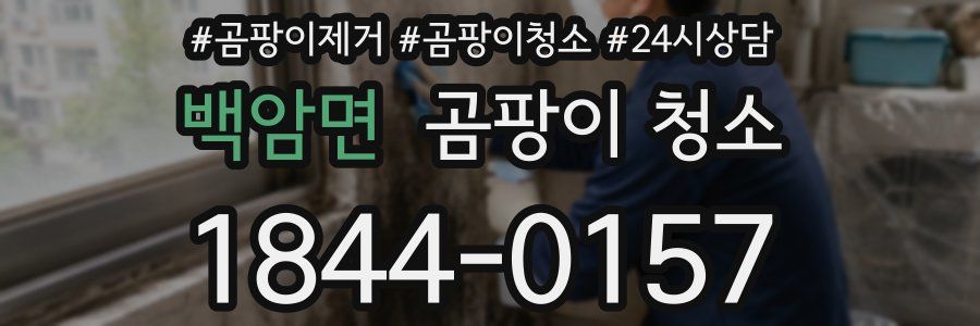 백암면 곰팡이 청소