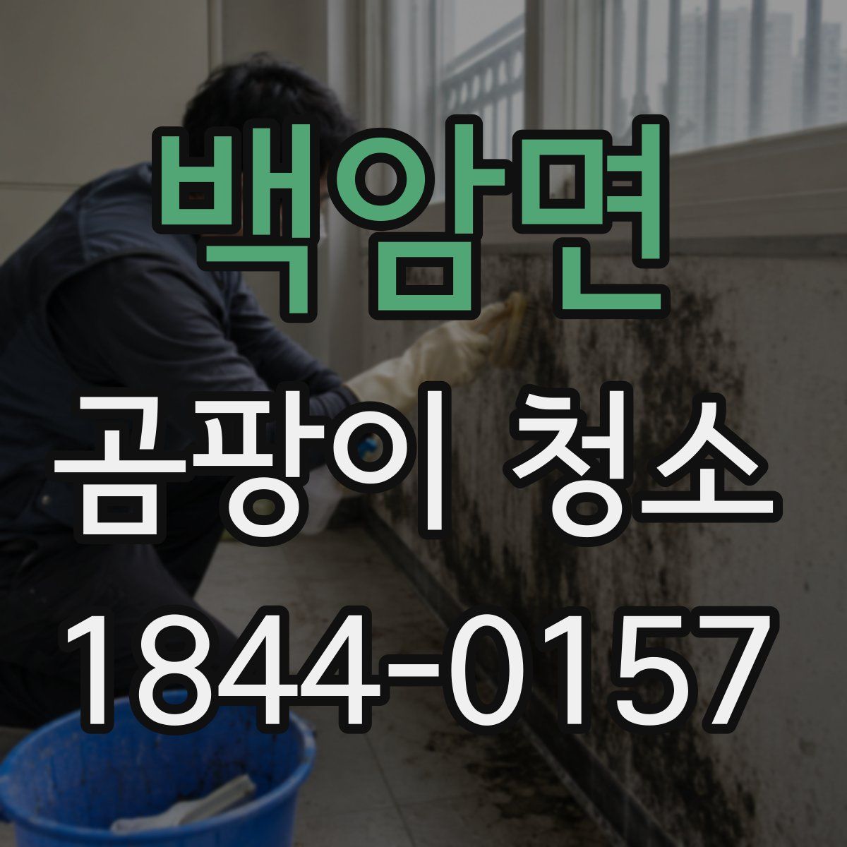 백암면 곰팡이 청소