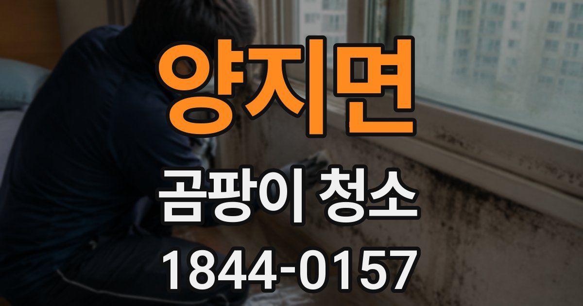 양지면 곰팡이 청소