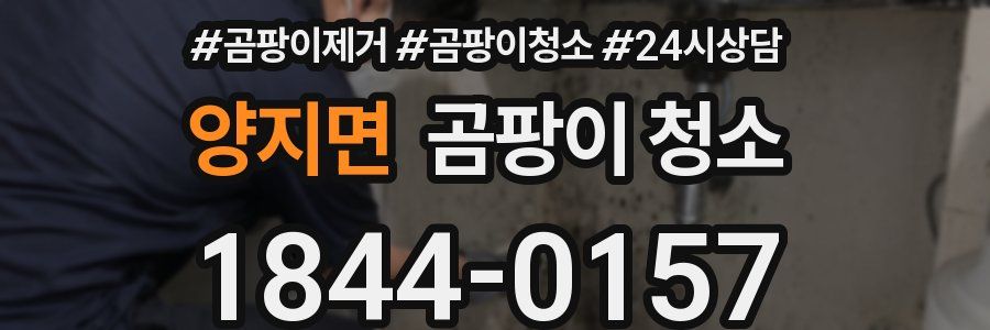 양지면 곰팡이 청소