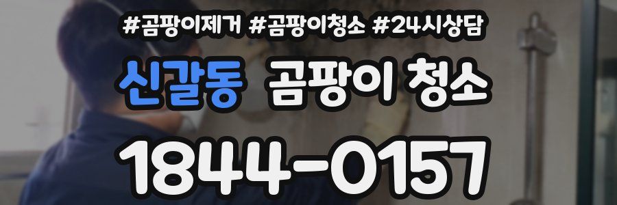 신갈동 곰팡이 청소