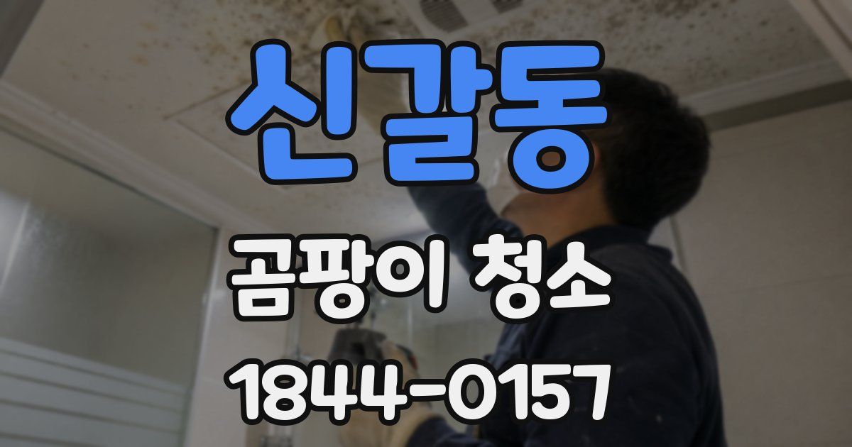 신갈동 곰팡이 청소