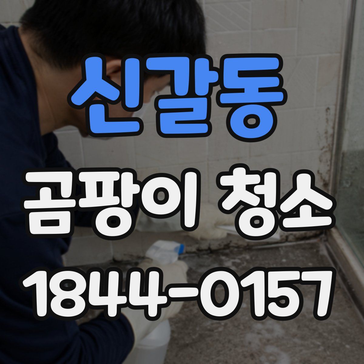 신갈동 곰팡이 청소