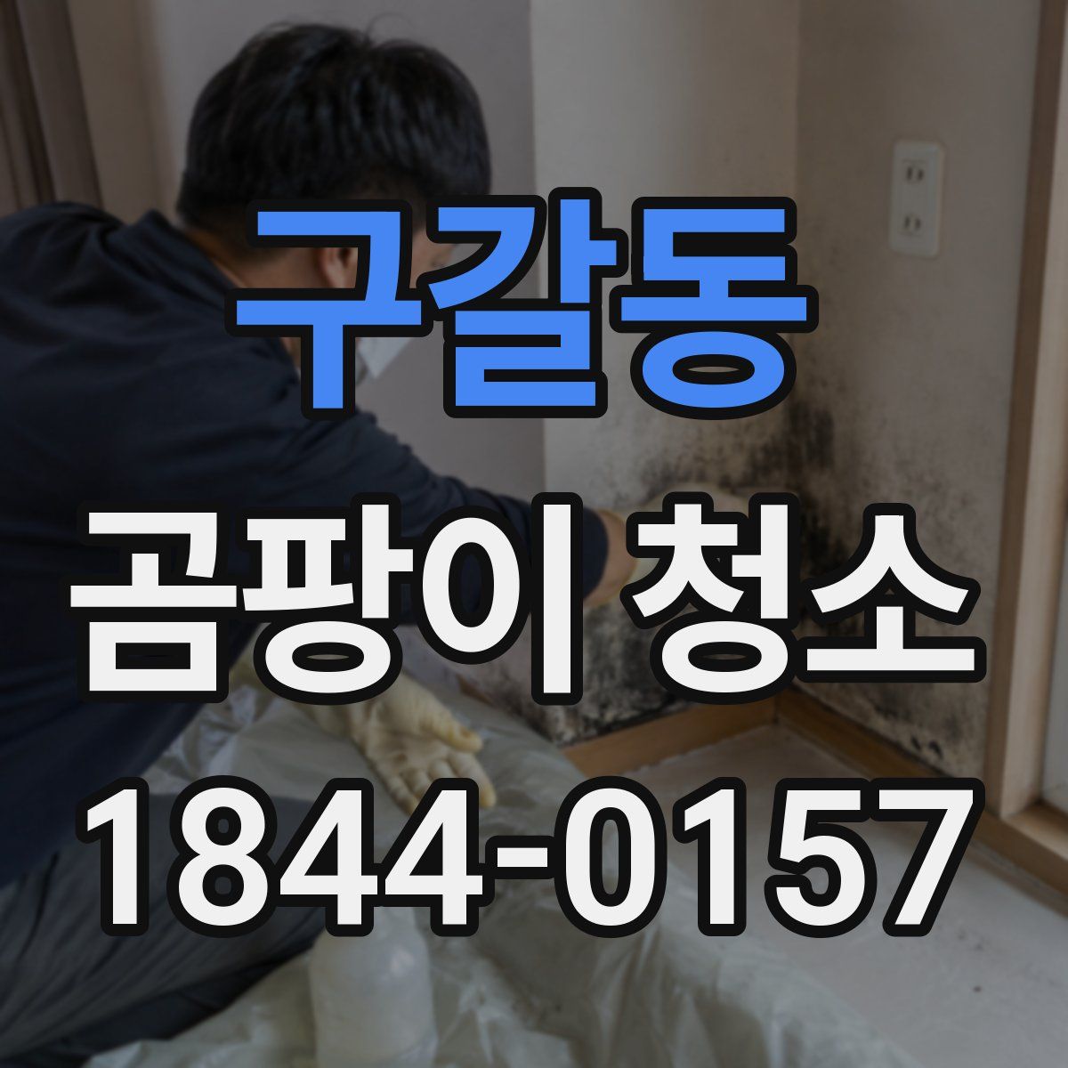 구갈동 곰팡이 청소