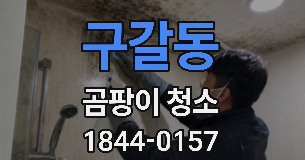 구갈동 곰팡이 청소