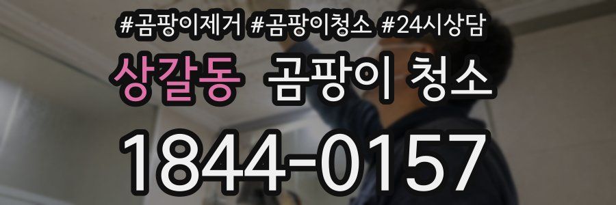 상갈동 곰팡이 청소