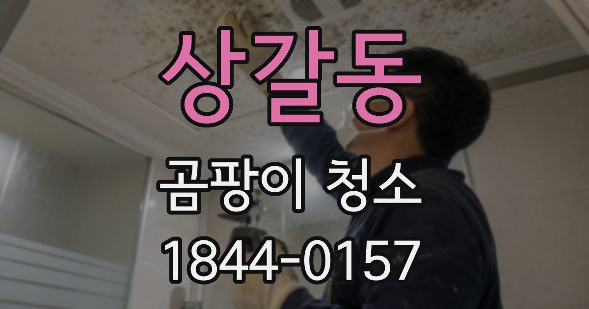 상갈동 곰팡이 청소