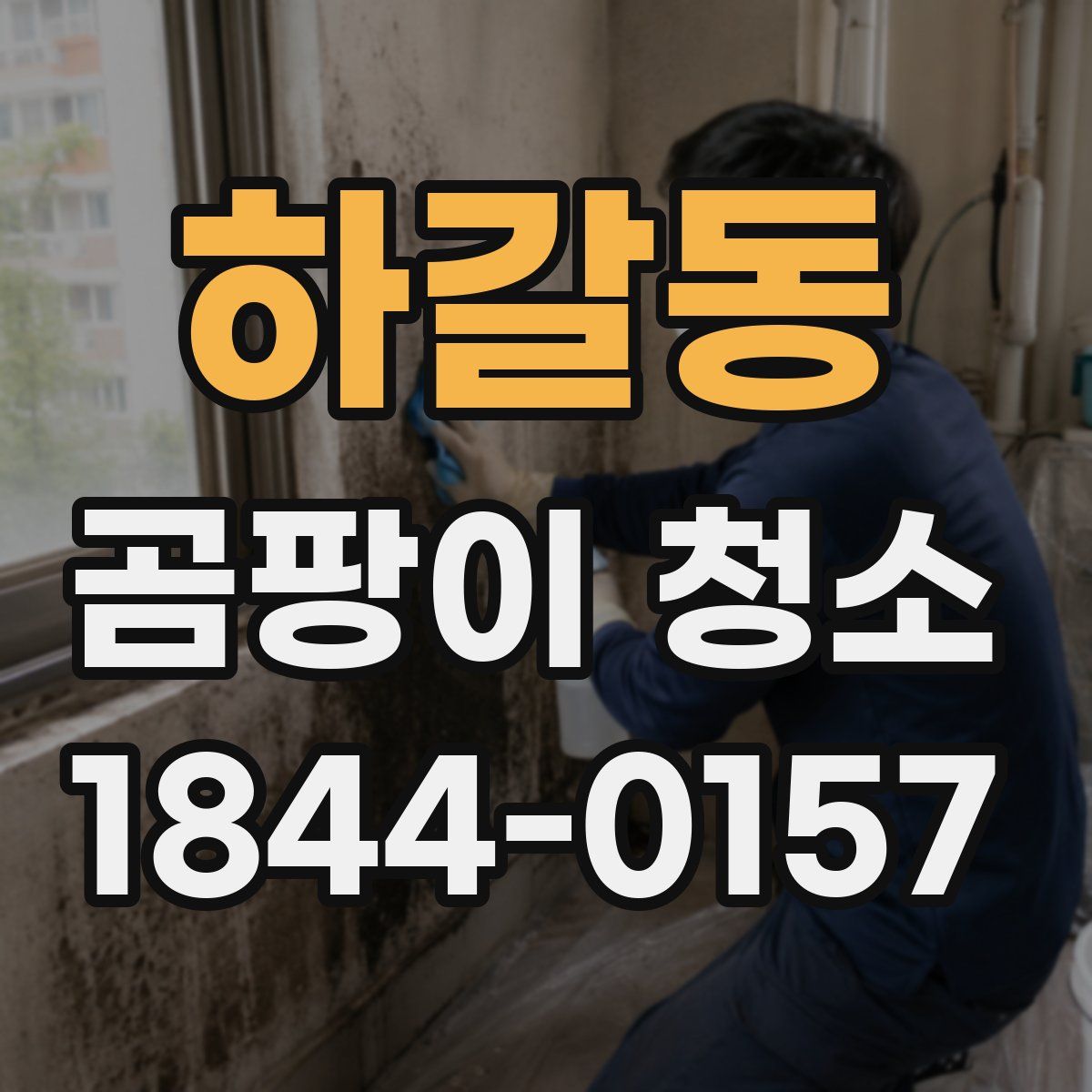하갈동 곰팡이 청소