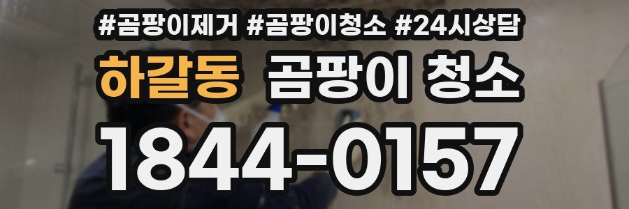 하갈동 곰팡이 청소