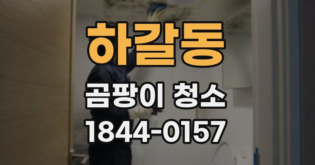 하갈동 곰팡이 청소