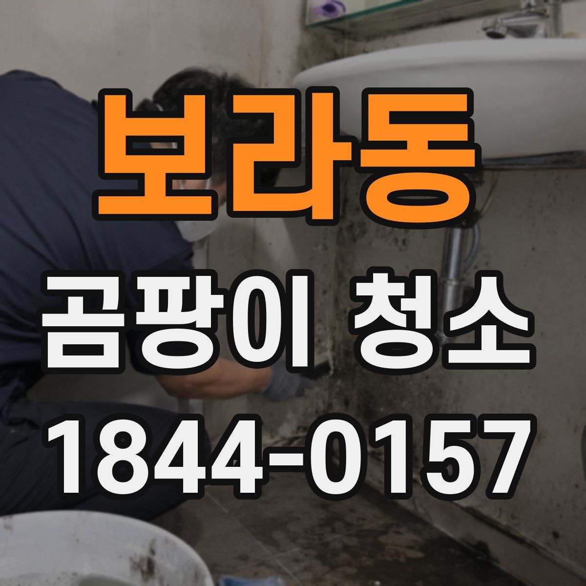 보라동 곰팡이 청소