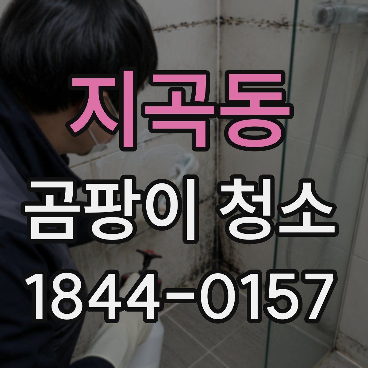 지곡동 곰팡이 청소 제거제 사용 전 표면 손상부터 확인하기