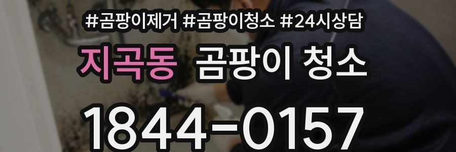 지곡동 곰팡이 청소