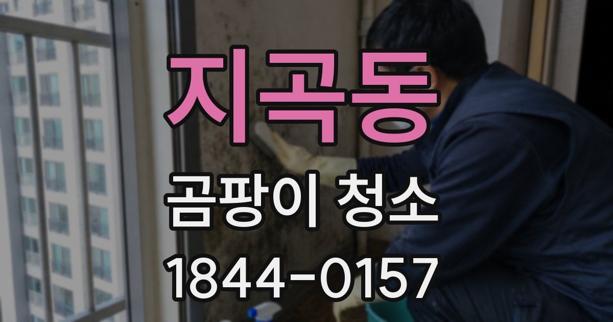 지곡동 곰팡이 청소