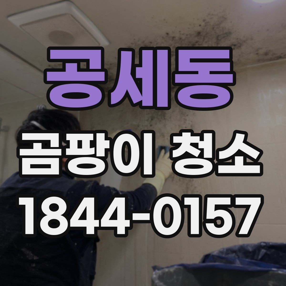 공세동 곰팡이 청소 주방 싱크대 아래 습기 흔적 확인하기