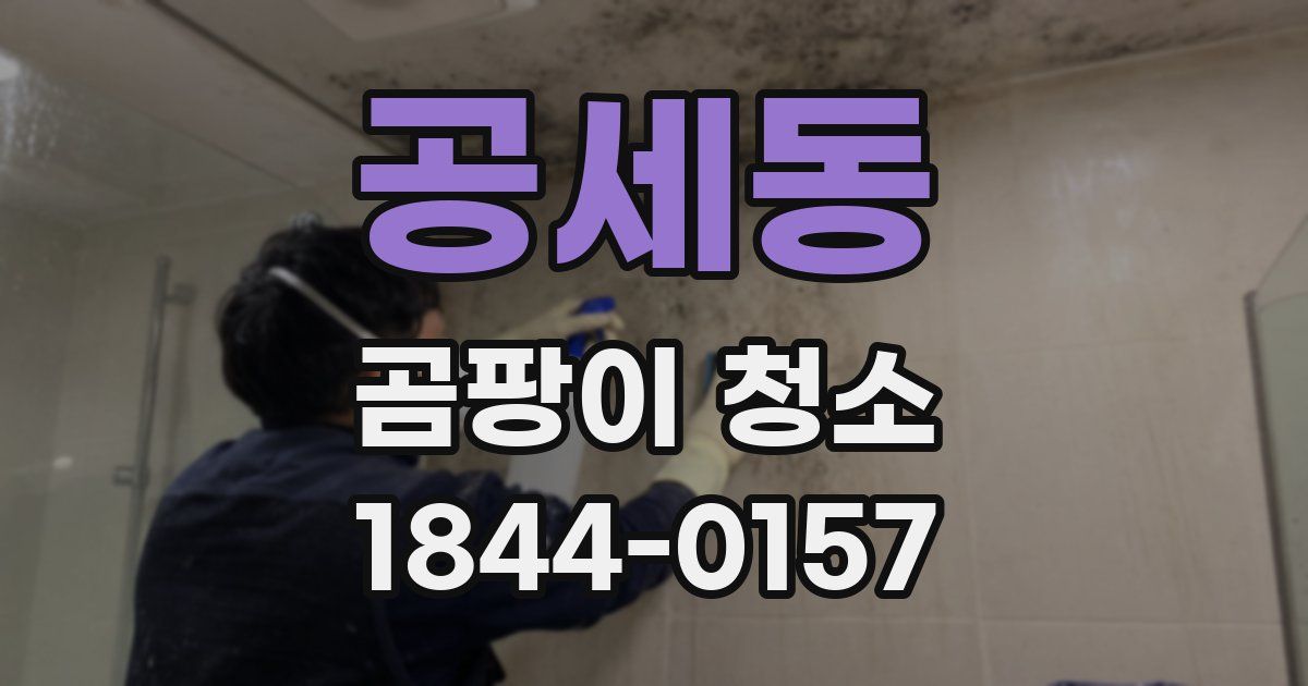 공세동 곰팡이 청소