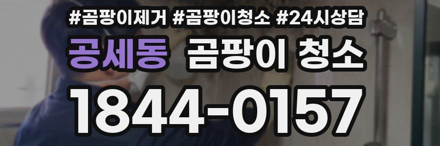 공세동 곰팡이 청소