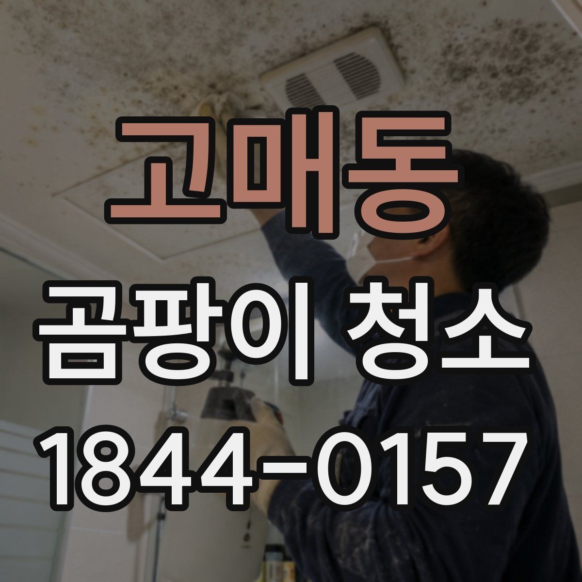 고매동 곰팡이 청소 욕실 줄눈과 실리콘을 따로 보는 관리 기준