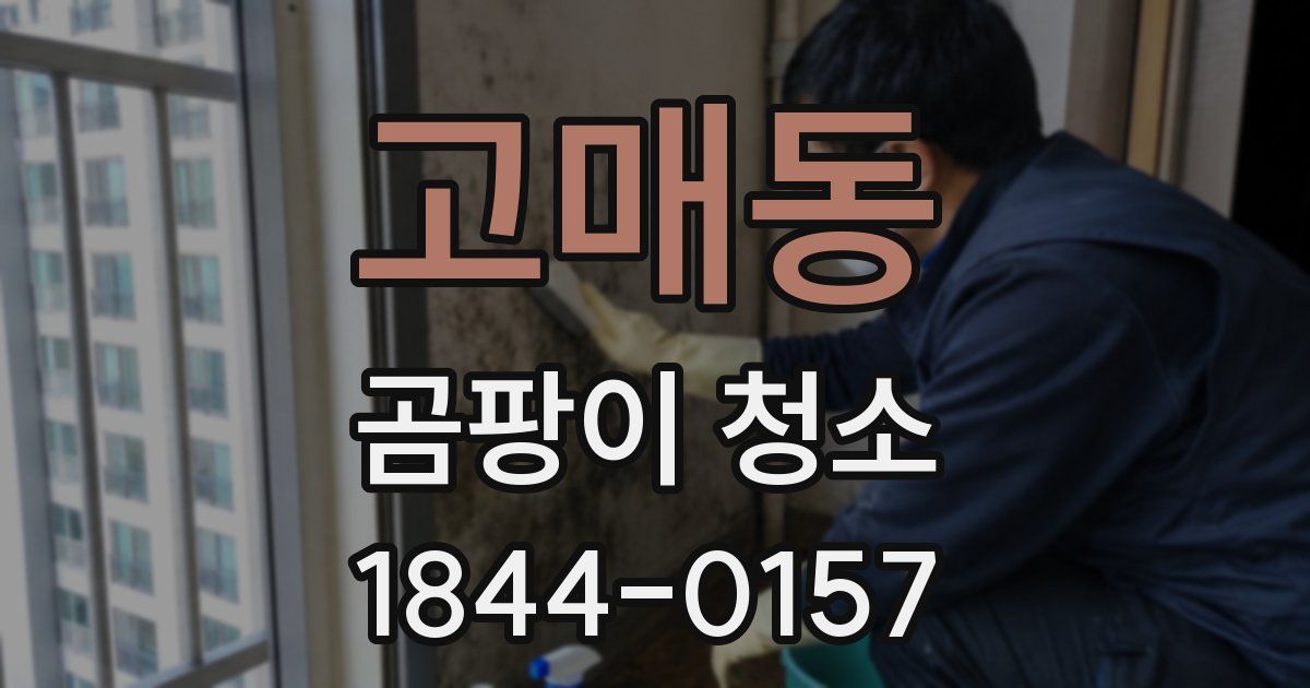 고매동 곰팡이 청소