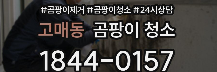 고매동 곰팡이 청소