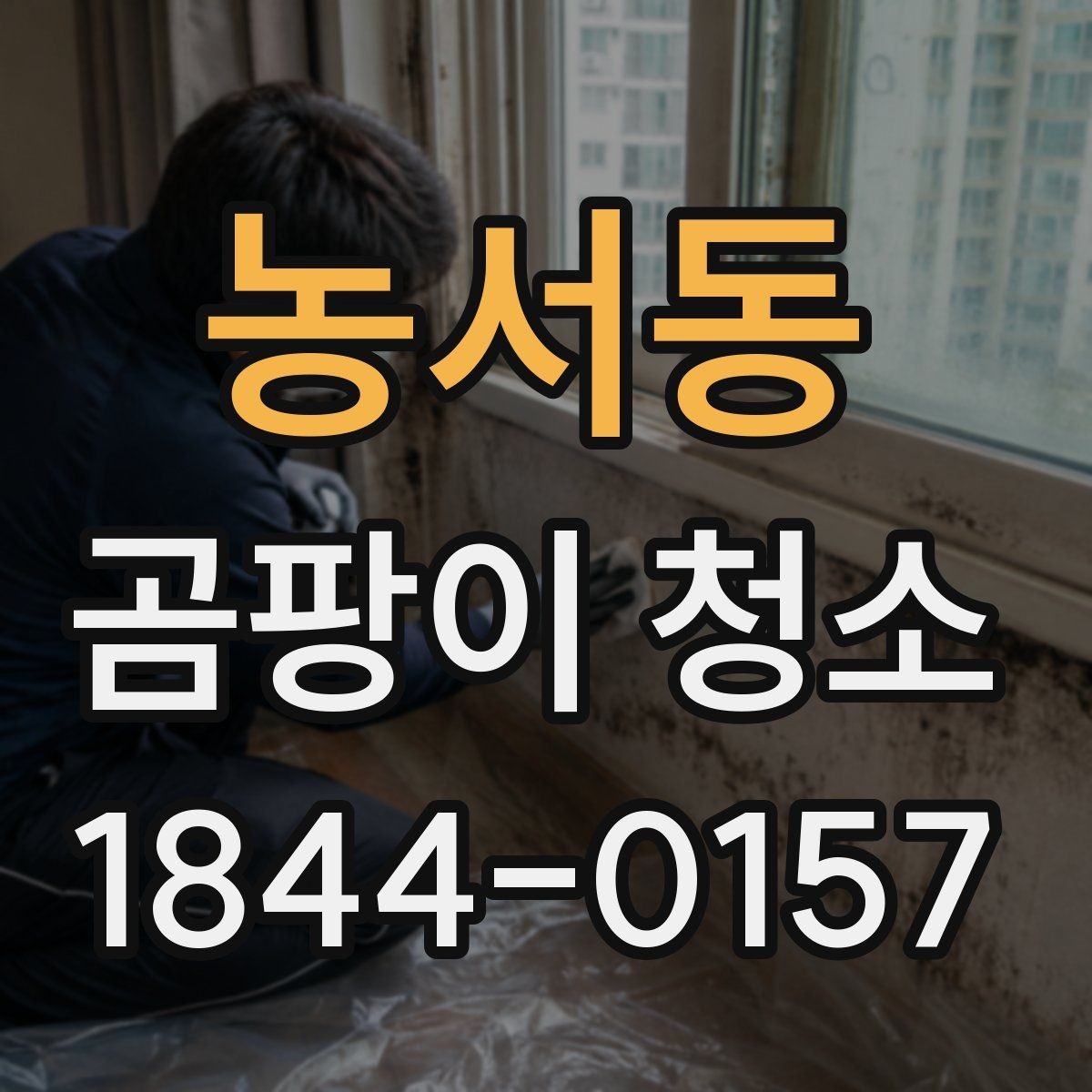 농서동 곰팡이 청소 번짐을 줄이는 닦기 순서와 준비 방법