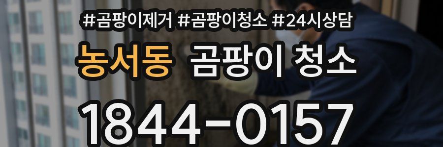 농서동 곰팡이 청소