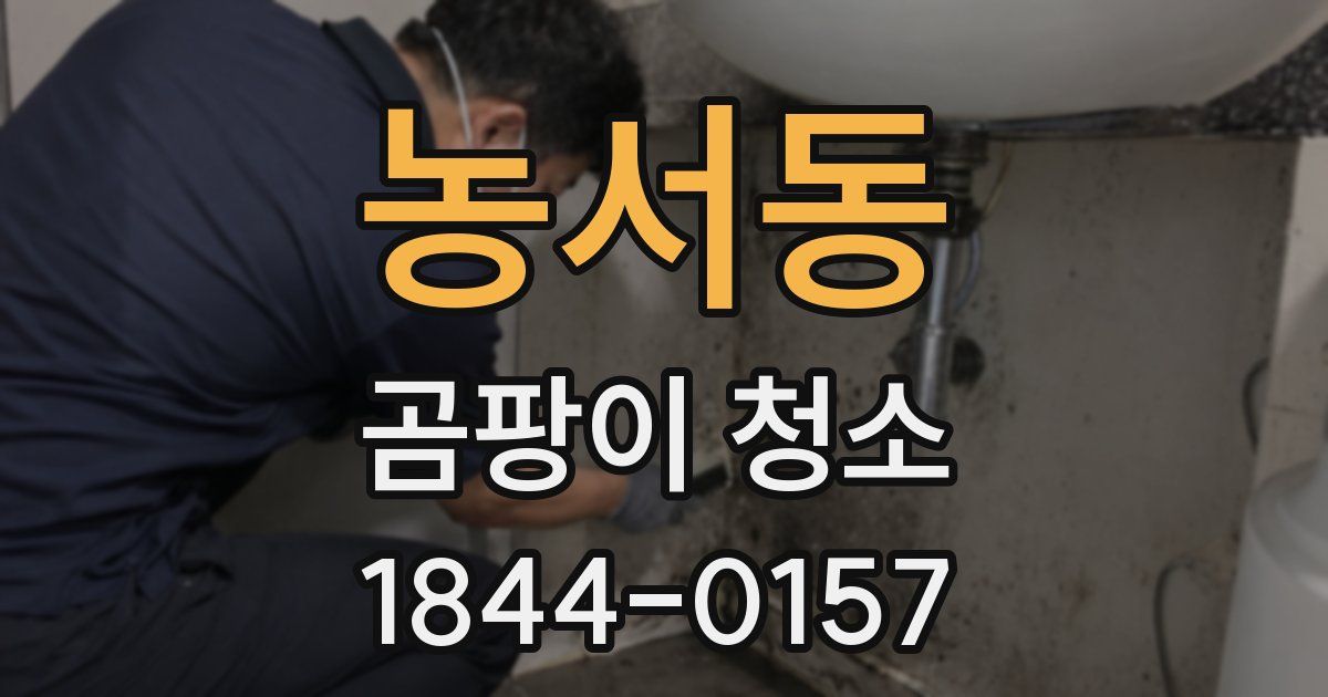 농서동 곰팡이 청소
