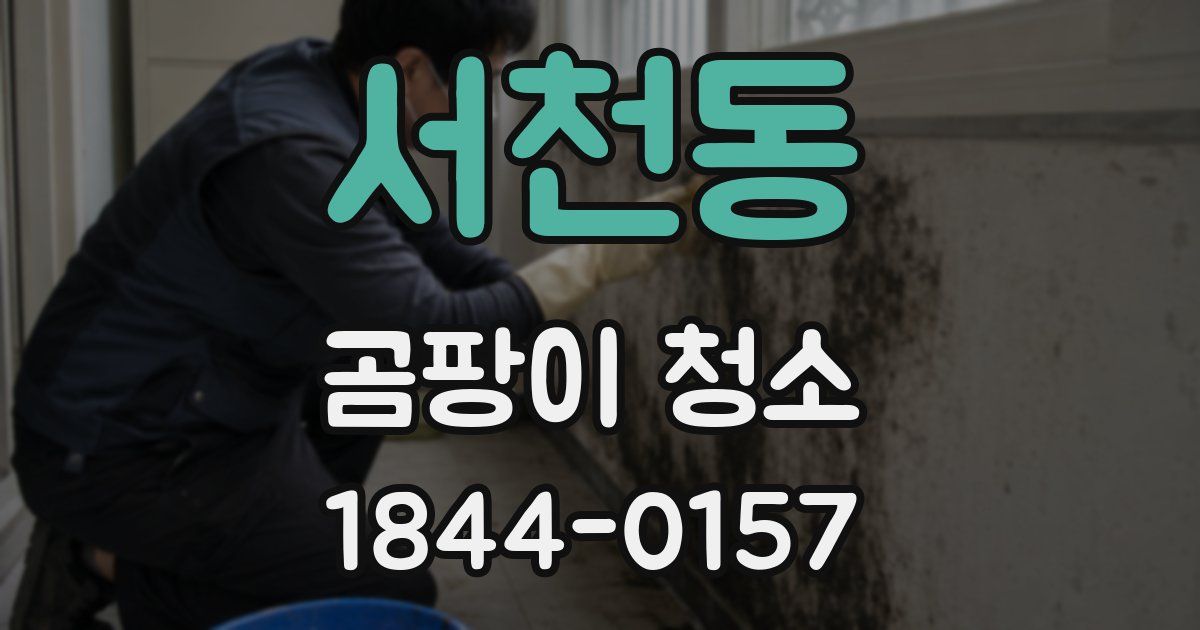서천동 곰팡이 청소