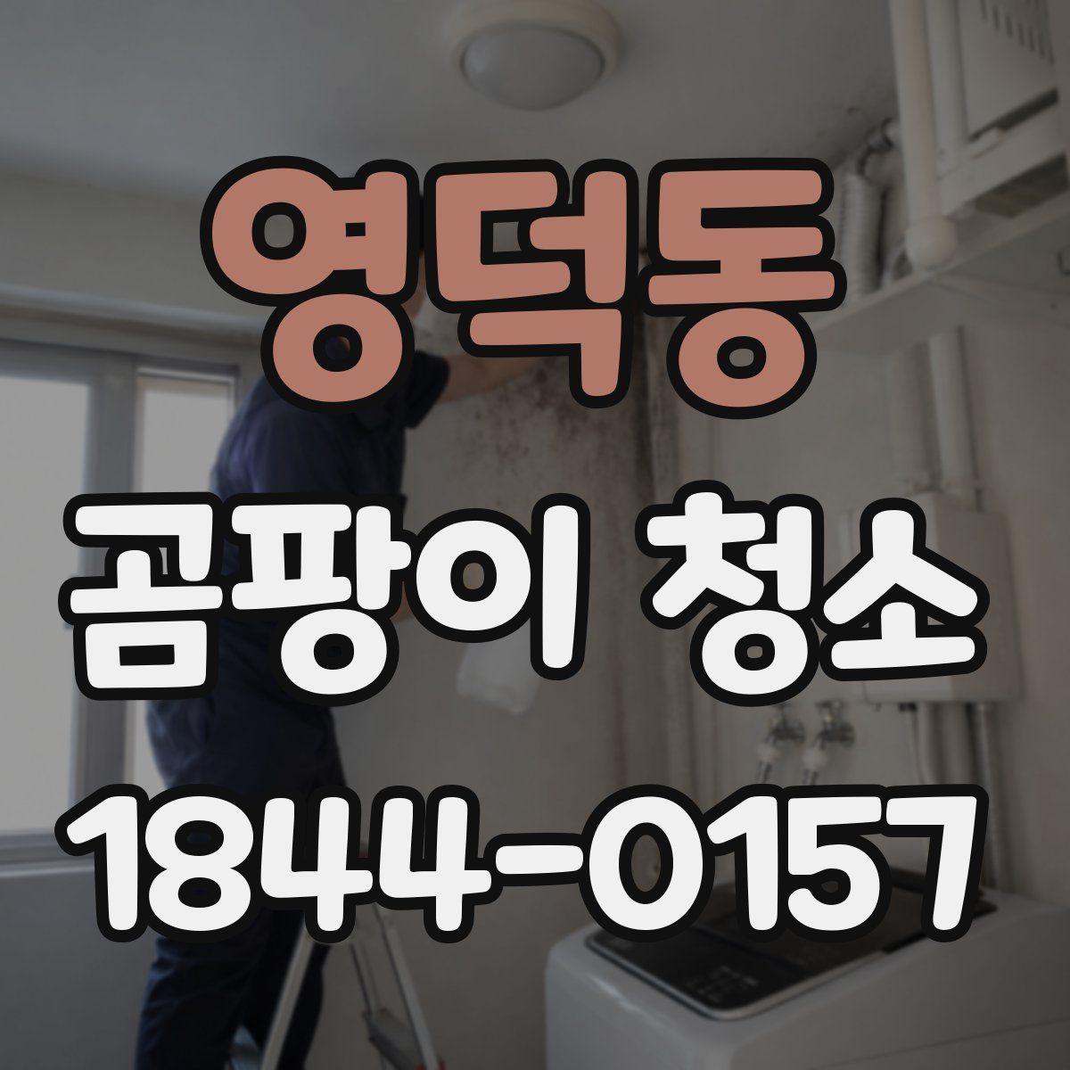 영덕동 곰팡이 청소