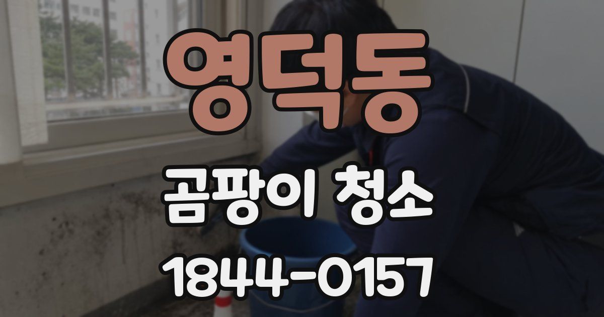 영덕동 곰팡이 청소