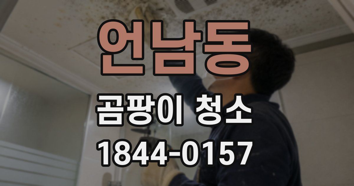 언남동 곰팡이 청소
