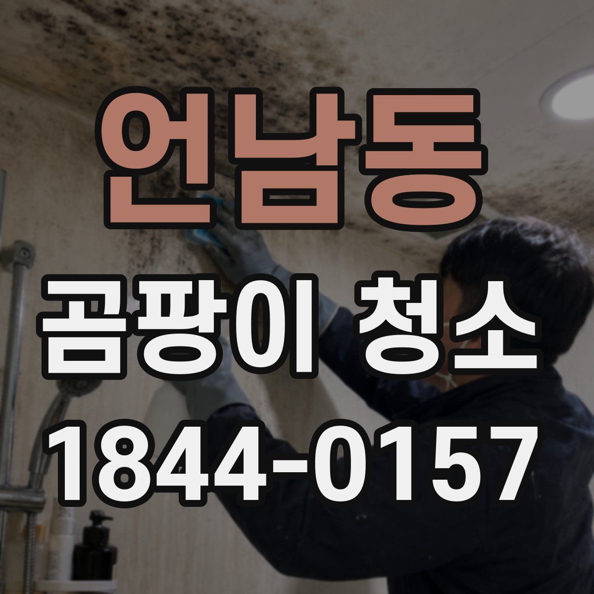 언남동 곰팡이 청소