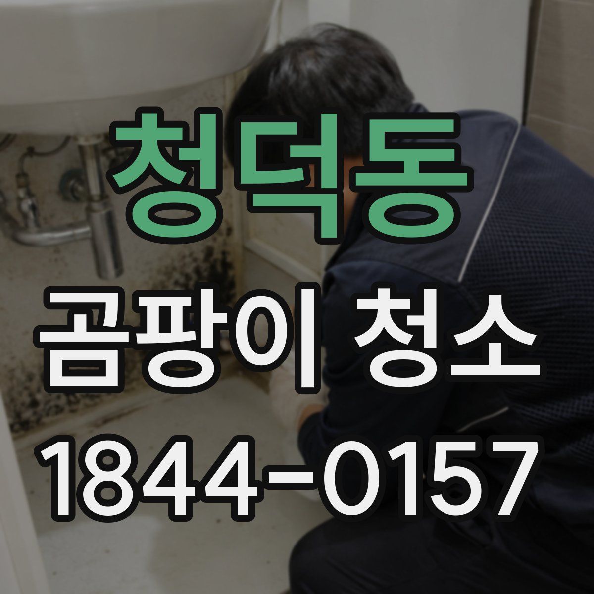 청덕동 곰팡이 청소